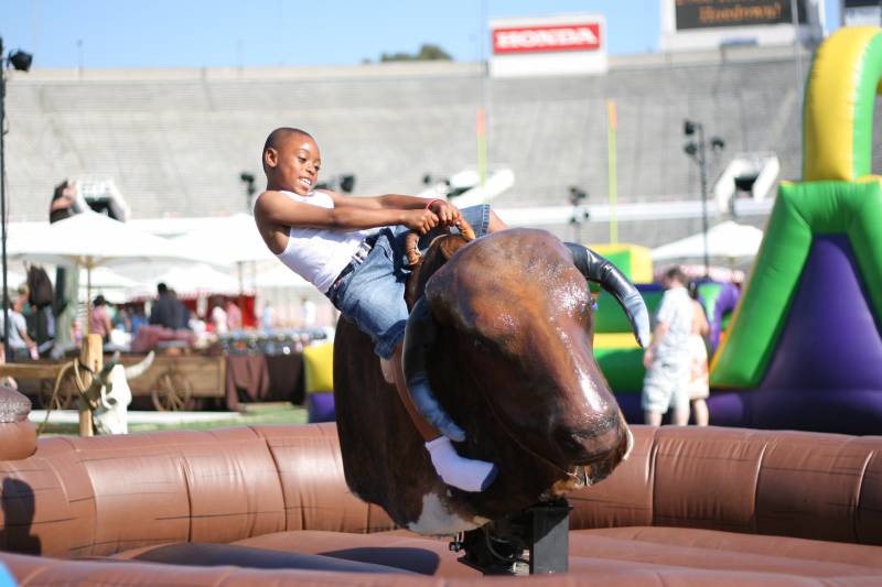 Mechanical_Bull_49949cc0a3298